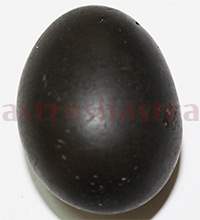 Shaligram 10726 85gm